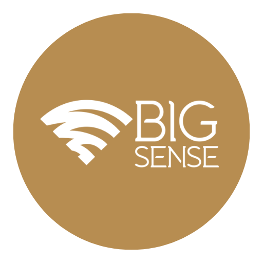 BigSense Logo